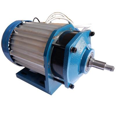 China Waterproof Top Quality High Torque Durable Brushless DC Motor for sale