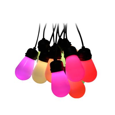 China Holiday String Light Hot Sale New Decoration RGB Color Music Function Led Bulb Lights Ball String Light For Outdoor for sale