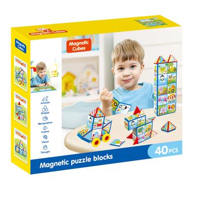 China Diy Pullze Cube Toy Kids 3d Cartoon Magic Magnetic Game Children Educational Plastic Building Blocks Play for sale