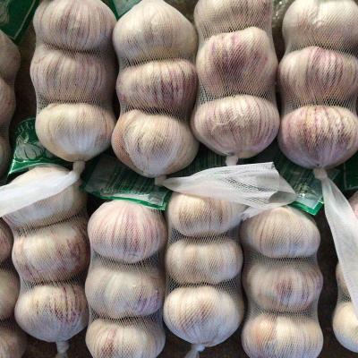 China 2021 New Culture Chinese Fresh New Culture / China Garlic Fresh Natural White Garlic for sale