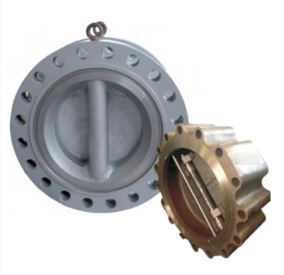 China General Double Plate Gasket Swing Piston Check Valve for sale