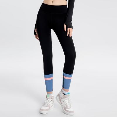 China Wholesale New Fitness Legging Waist Breathable High Tight And Quick-drying Gym Gaiters for sale