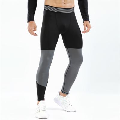 China 2021New Style Men's Sports Breathable High Stretch Fitness Tights Quick Dry Pants for sale