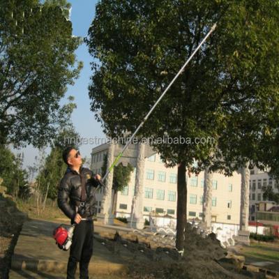 China 2-Stroke Tanzania Free Sample GX35 Long Pole Saw / Gasoline Pole Saw For Cutting Tree Branch for sale