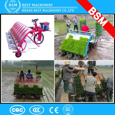 China Widely Used Agricultural Machinery Indonesia Rice Planter Price / Rice Planting Machine Paddy Rice Transplanter for sale