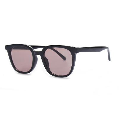 China Trendy Trendy TR90 Sunglasses Professional Manufacture Fashion Sunglasses for Women and Men for sale