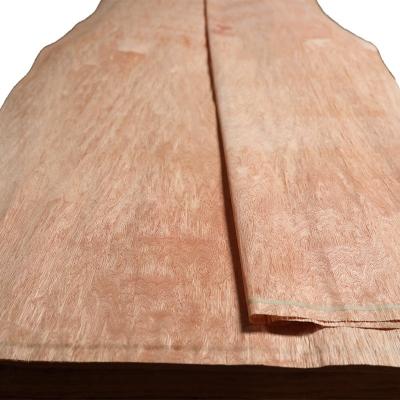 China plywood bintangor wood veneer for india market for sale