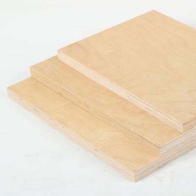 China Modern Hot Sale Baltic Birch Plywood/Hardwood Plywood For Furniture Manufacturer Plywood Sheet Commercial for sale