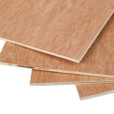 China Modern Okoume Plywood Door Sizes Plywood Bintangor Veneer Plywood For Furniture for sale