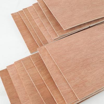 China Modern Cheap Price 4x8 Plywood Sheet Furniture Panels Birch Board 3mm 9mm 15 18 Mm Bintangor Okoume Hardwood for sale