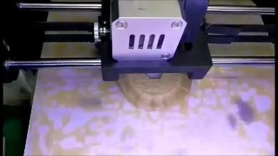 China De Maximum 3D Printer van de de Resolutie Grote Schaal van 0,04 Mm met het Touche screen van de 4,3 Duimkleur Te koop