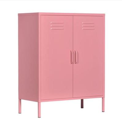 China Knock Down Hot Selling New Design Furniture Metal Cabinet 2 Door Steel Storage Cabinet With Rack For Living Room for sale