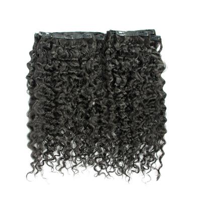 China Wholesale Natural Water Wave Hair Cuticle Aligned Raw Curly Curly Indian Clip In Hair Extensions for sale