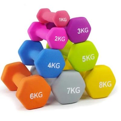 China Durable Neoprene Dumbbell Coated Fitness Adjustable Power Ladies Hex Weight Gym KGS Pounds Vinyl Free Dumbbell Set for sale