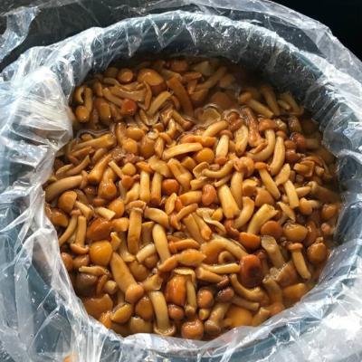 China FAQ fresh brined nameko in cask/nameko mushroom/boiled nameko in brine for sale