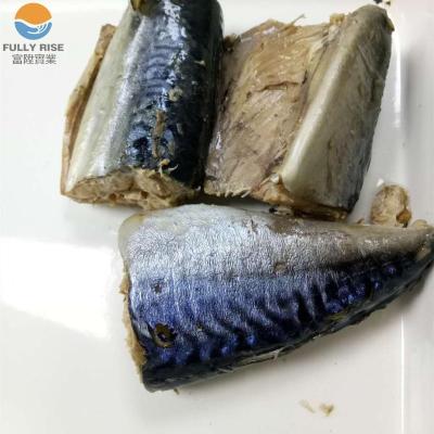 China High Quality Canned Mackerel In Brine Canned Fish For Sale South America for sale