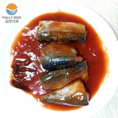 China Best Fish Exporters Canned Mackerel Canned Fish In Tomato Sauce for sale