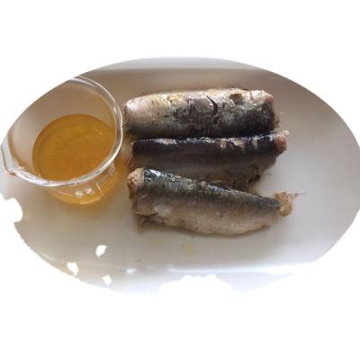 China Canned canned sardine in oil 125g club for export for sale