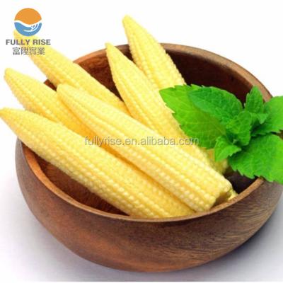 China Canned Whole Canned Baby Corn In Brine In Water 425g To Singapore for sale