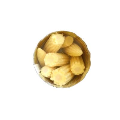 China BRC Factory Canned Baby Corn 2840g Canned Vegetable for sale