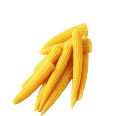 China Good quality delicious 400g canned canned baby corn for sale for sale