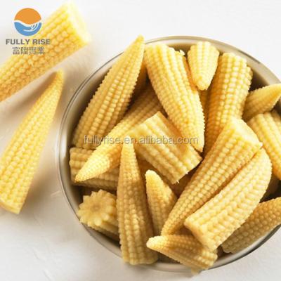 China Canned Market Price Canned Baby Corn In Canned Brine Food for sale