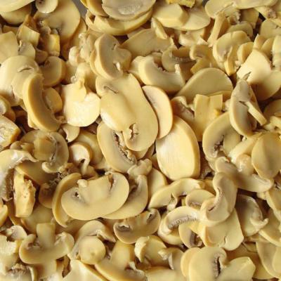 China canned canned mushroom in brine/canned mushroom stems and pieces/low price canned mushroom for sale