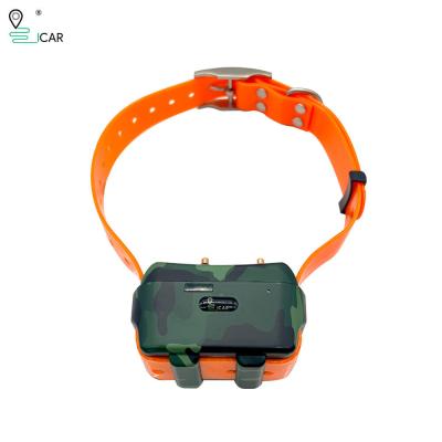 China Real Time Satellite GPS Tracking Device , Hound Dog Tracking Collars for sale