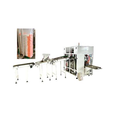 China High Quality And Latest Design Food Bag Filling Packing Machine Noodle Machine - Plastic Bags for sale