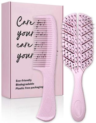 China Vent LABYRINTH BRUSH New Design MZ-012 Hair Brush Eco-friendly Biodegradable 2pcs and Comb Set for sale