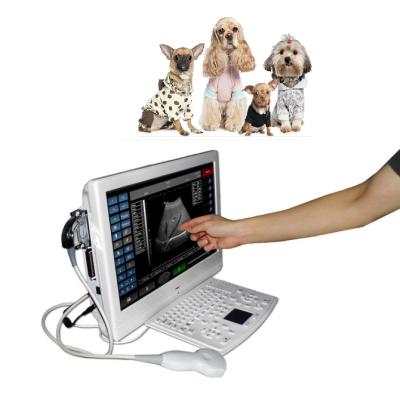 China 18.5inch Large Touch Acrylic Ultrasound Human Or Veterinary Scanner / Portable Scanning Pad Ultrasound Machine For Dogs&Horses for sale