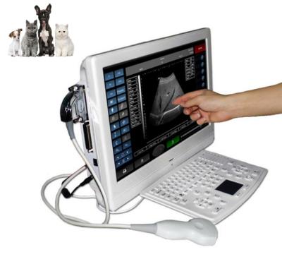 China Touch Screen Acrylic Ultrasound Machine / Tablet Ultrasound Scanner for animal use: dog, cat, sheep, cow, pigs, goat, horse etc. BW08-W for sale