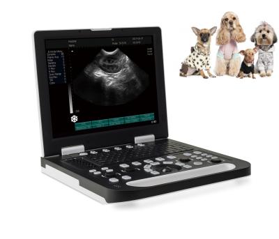 China BW22 Acrylic Veterinary Ultrasound Portable Veterinary Ultrasound Vet Machine Better Than Mindray BW22vet-W for sale