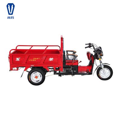 China 150CC Cargo Motorized Gasoline Powered Three Wheel Cargo Tricycle for sale