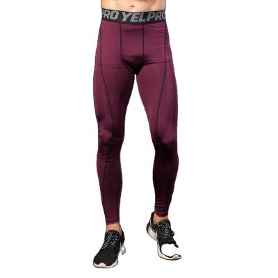 China Men's Running Pants Breathable PRO Sports Fitness Training Pants Amazon Quick-Dry Breathable Stretch Tights for sale