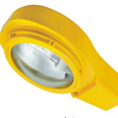 China Explosion Proof Type Explosion Proof Dust Proof Lamp Insert Light for sale