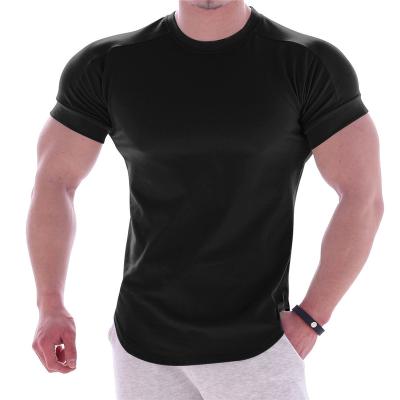 China Custom High Quality QUICK DRY Fitness Gym Women Men Running Polyester Quick Dry Sports Slim Fit T-Shirt for sale