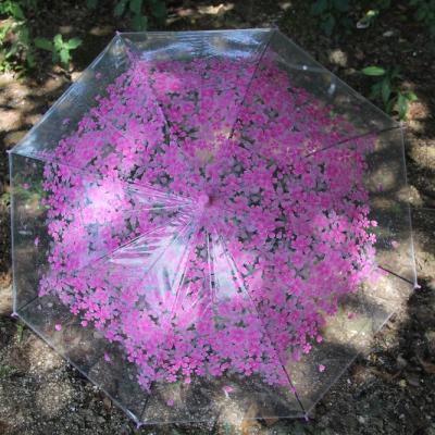 China Hanging Cherry Printing Transparent Umbrella for sale