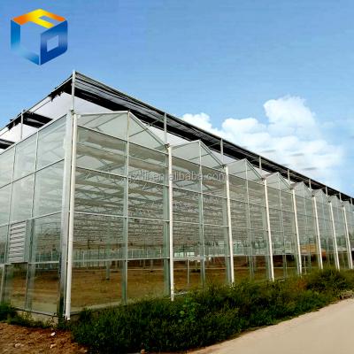 China PC PLASTIC SHEET AGRICULTURE/INDUSTRIAL GREENHOUSE FOR SALE for sale