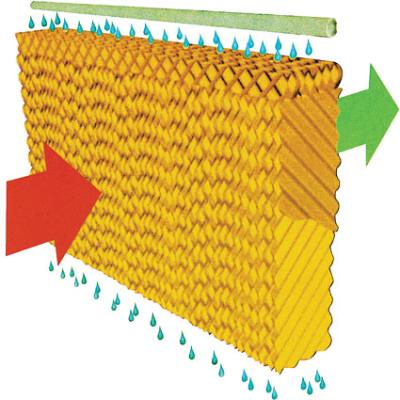 China Paper Cellulose Cooling Pad and Evaporative Cooling Pad for Poultry Farm for sale