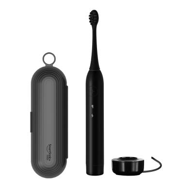 China Household Dental Cordless Rechargeable Travel Set Personalized Electric Toothbrush for sale