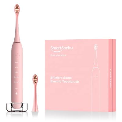 China Household Pink Electric Toothbrush Rechargeable Soft IPX8 Smart Sonic Toothbrush For Adult for sale