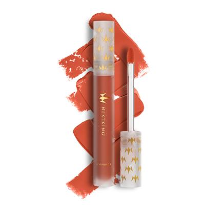 China Custom logo waterproof lasting lasting vegan high gloss makeup private label lip gloss matte lip gloss for sale