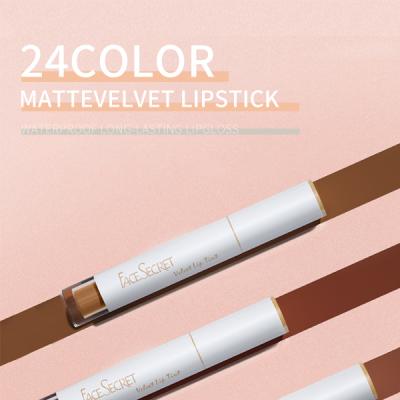 China 2021 Best Seller Beauty Makeup Cosmetics Waterproof Products Ready To Ship Vegan Matte Lipgloss Lasting Lip Gloss for sale