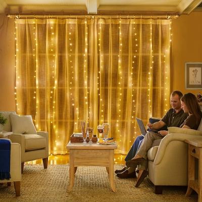 Cina 3X3M USB Holiday Light With Remote Control Colorful Synchronous Curtain Decorative LED String Light in vendita