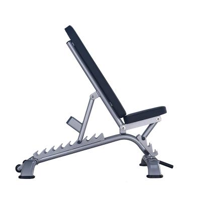 China Modern Multifunctional Adjustable Flat Bench / Gym Dumbbell Bench /Press Bench for sale