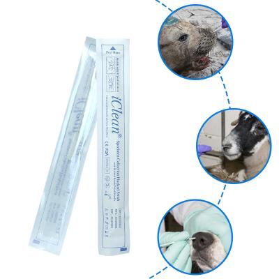 China Lab Farm Poultry Pet Cattle Avian Influenza Swine Flu Test DNA Sample Collect Swab, Nasal Herd Swab Stick For Animals for sale