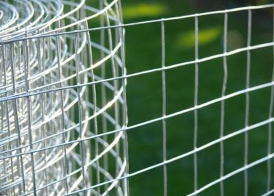 China Draht des Edelstahl-304 316 Mesh Fence/0.5m-3M-Metalldraht Mesh Roll zu verkaufen