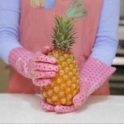 China Corrosion resistant anti-slip, reusable comfortable cleaning gloves for sale