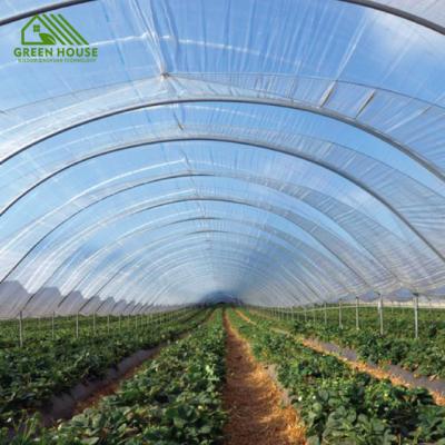 China Plant Growth Thermal And Vegetables Plastic Film Greenhouse Tunnel Windproof Agricultural Greenhouse for sale